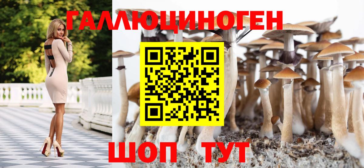 Иваново  Псилоцибиновые грибы мицелий  Вход с VPN  Галлюциногенные грибы мицелий 